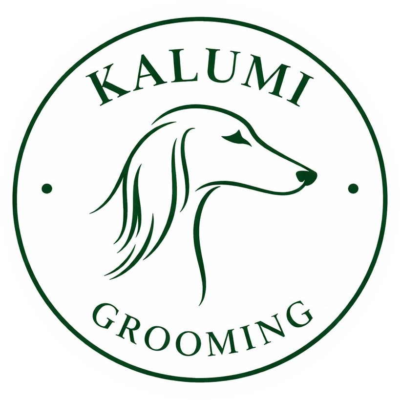 Kalumi Logo
